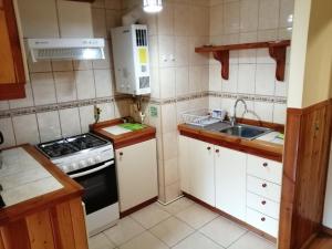 Departamento en Pucón