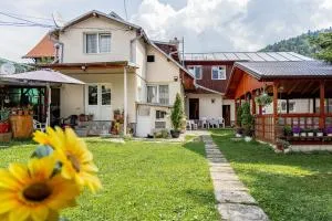 布什泰尼蒙坦旅馆 - 泽尔内什蒂