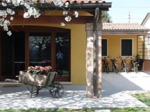 Particolari del Brenta