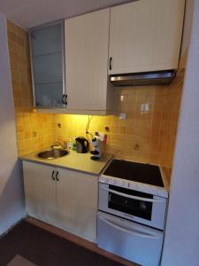 La Foux dAllos - Studio 4 couchages, très proche centre station