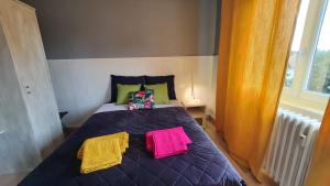 Appartements Le Bienvenue a Colmar avec parking gratuit : photos des chambres