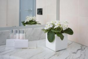 Superior Double or Twin Room room in Raffaello Hotel