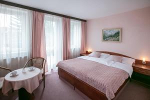 Deluxe Double Room with Shower room in Hotel-Pension KAMÝK