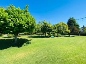 Appartamento con Vista Giardino