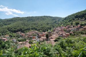 Appartamento Superior con 1 Camera da Letto e Balcone