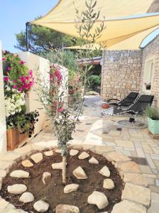 HOLIDAY HOME ZLOPOJE