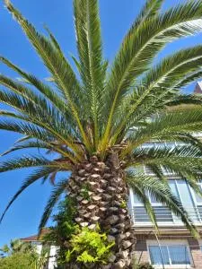 Luminoso Apartamento Playa Ris con garaje - Soano