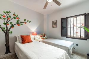 Town house with roof terrace and plunge pool