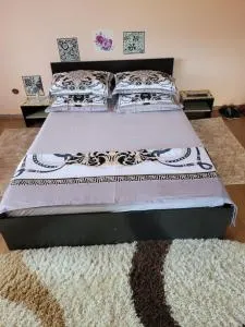 Vila la Izvorul Putinei - Silvaşu de Jos