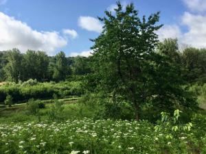 Maisons de vacances Cottage chaleureux situe en pleine nature ! : photos des chambres