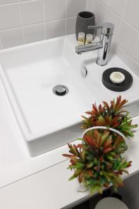 Cedofeita Charming Flat