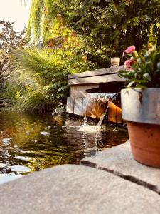 Ferienwohnung Schröder