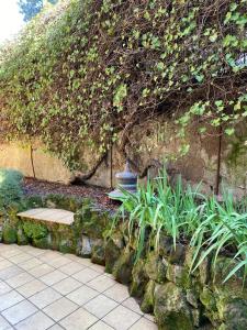 Trastevere Oasi Garden Apartment - Roma
