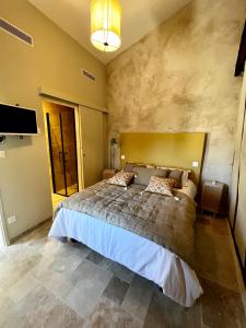 Appartements Le Donjon de Lily - Coeur de La Cite Medievale : photos des chambres