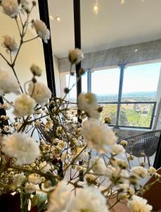 Appartements Le Donjon de Lily - Coeur de La Cite Medievale : photos des chambres