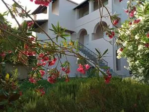 Olive Hill House - Vragkaniótika