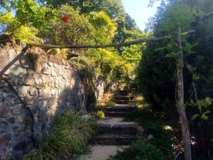 Maisons d'hotes Les Jardins d'Arbousse : photos des chambres