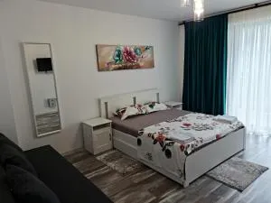 APARTAMENT SPLEND'OR No7 ALBA IULIA - 奥勒什蒂耶