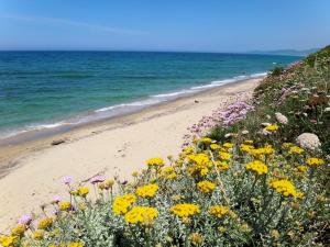 Sa Fiorida Appartamenti img23