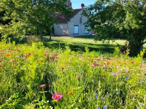 Maisons de vacances Gite le grand bois : photos des chambres