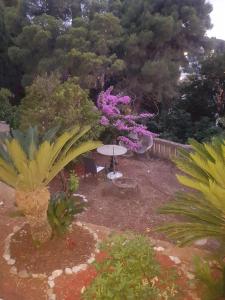 Villa Tiha 