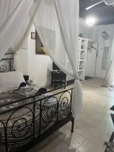 Studio S img36