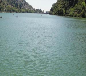 StayApart I The Maple Residences - Lake Front