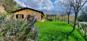 Il Vigneto