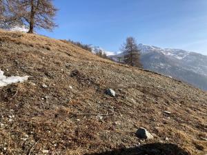 Appartement 1 Chambre