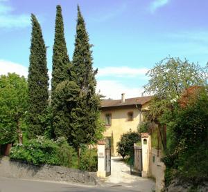 Les Cypres photo 6