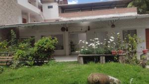 Alojamientos Támpur