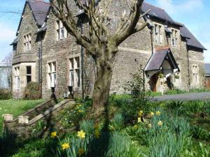 St Davids Guesthouse