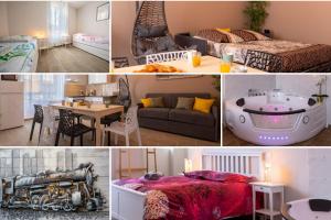 Appartements LOC TROTTEUR LE CACAO - Balneo, Gare Lourdes : photos des chambres