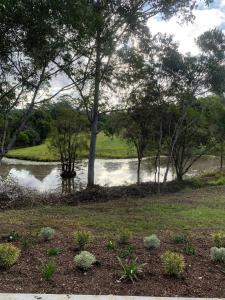 Gorgeous 2 bedroom tiny house Noosa hinterland