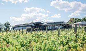 Balgownie Estate Yarra Valley