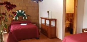 Hotel Jardin Rincon de las Estrellas - Velasco