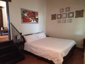 Casa Flor de Pajaro, vistas panorámicas increíbles al lago