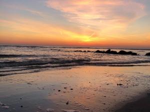 Appartements Appartement T2 en RDC, Proche Plage et Commerces, Ideal pour Sejours en Bord de Mer - FR-1-646-30 : photos des chambres