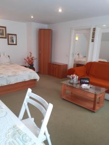 Pensiunea Floare de Colt