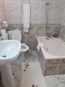 Pensiunea Floare de Colt