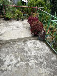 Vilmas Homestay