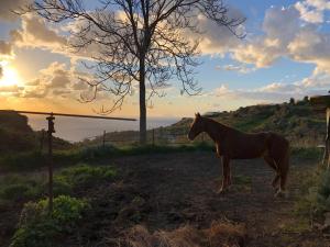 agriturismo u zu peppino