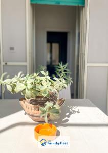 The Family Nest - Casa Eva