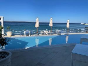 Luxury two-floor apartment in Petrčane with garden and pool