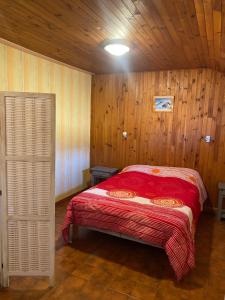 Les Genêts du Sancy