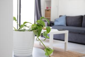 Maisons de vacances Les Villas des Fontaines : photos des chambres