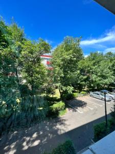 Berceni Sudului Cozy Apartment