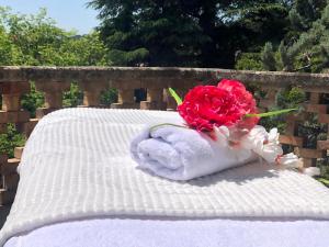 B&B / Chambres d'hotes La Duchesse - SPA-JACUZZI - MASSAGE- SAUNA - 4 SAISONS - Piscine chauffee Toute l'annee - 800m centre ville : photos des chambres
