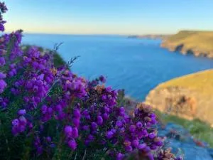 Polrunny Farm Sloe Cottage with a sea view - 博斯卡斯尔