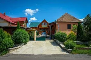 Cheerful 5-bedroom house close to Baile Felix 19km - Mădăraş